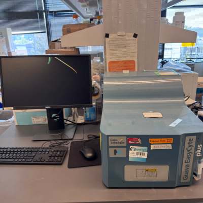 Guava 易賽特增強(qiáng)型流式細(xì)胞儀