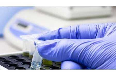 科技部征集2026年度國際杰青計劃項目